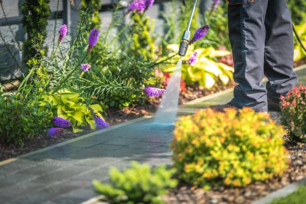 Best Spring Cleaning  in Finderne, NJ